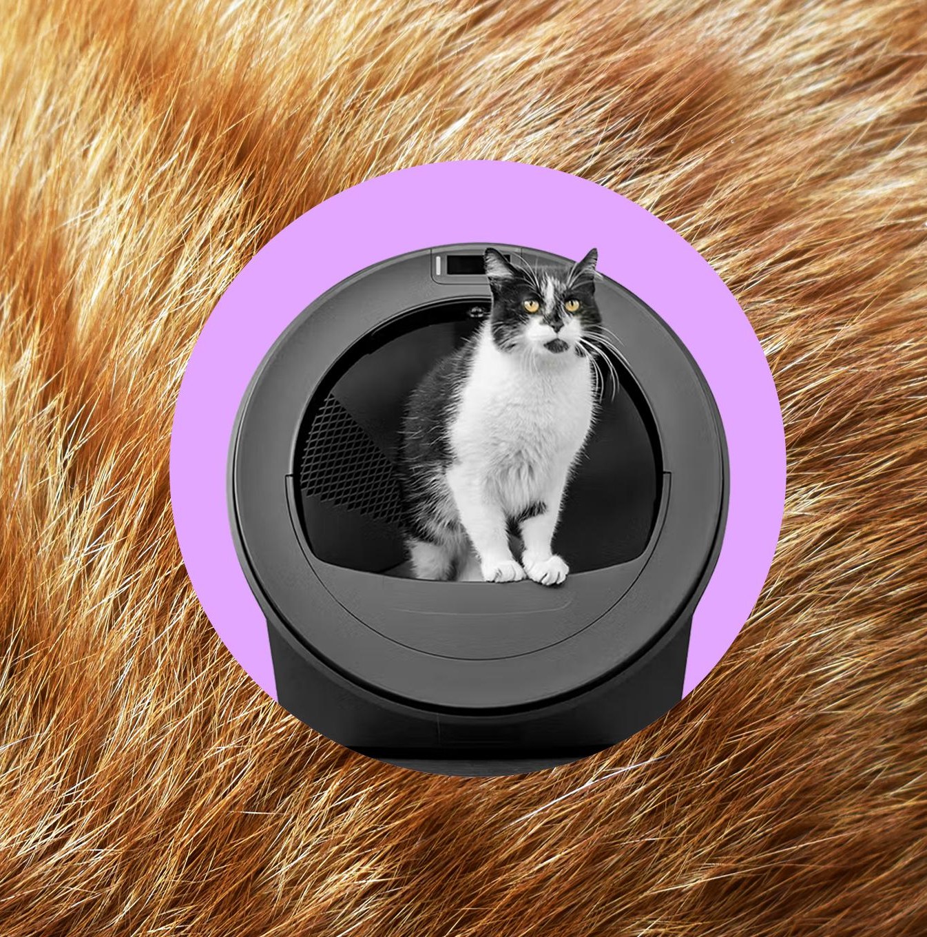 Litter-Robot 5 Pro với thiết kế lớn và camera trước