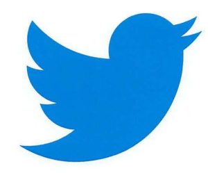 Biểu tượng con chim Twitter – biểu tượng văn hóa internet nay đã vào phạm vi công cộng