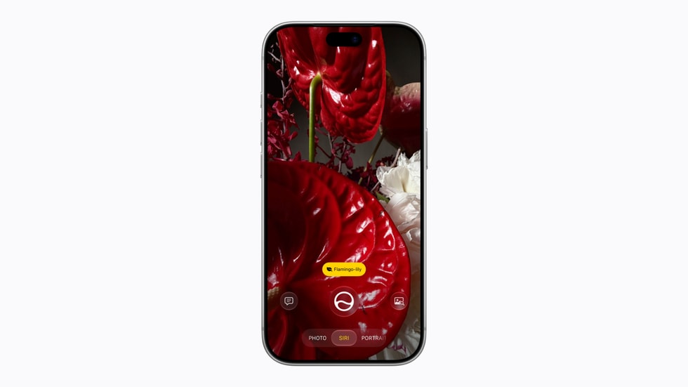 Chế độ Siri trong ứng dụng Camera trên iPhone