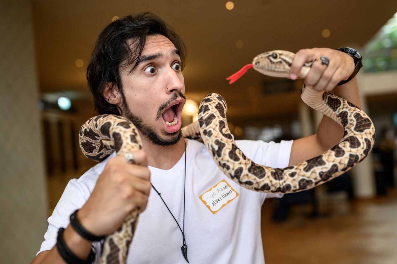 Một góc lễ trao giải Ig Nobel 2026 với các nhà khoa học thắng giải