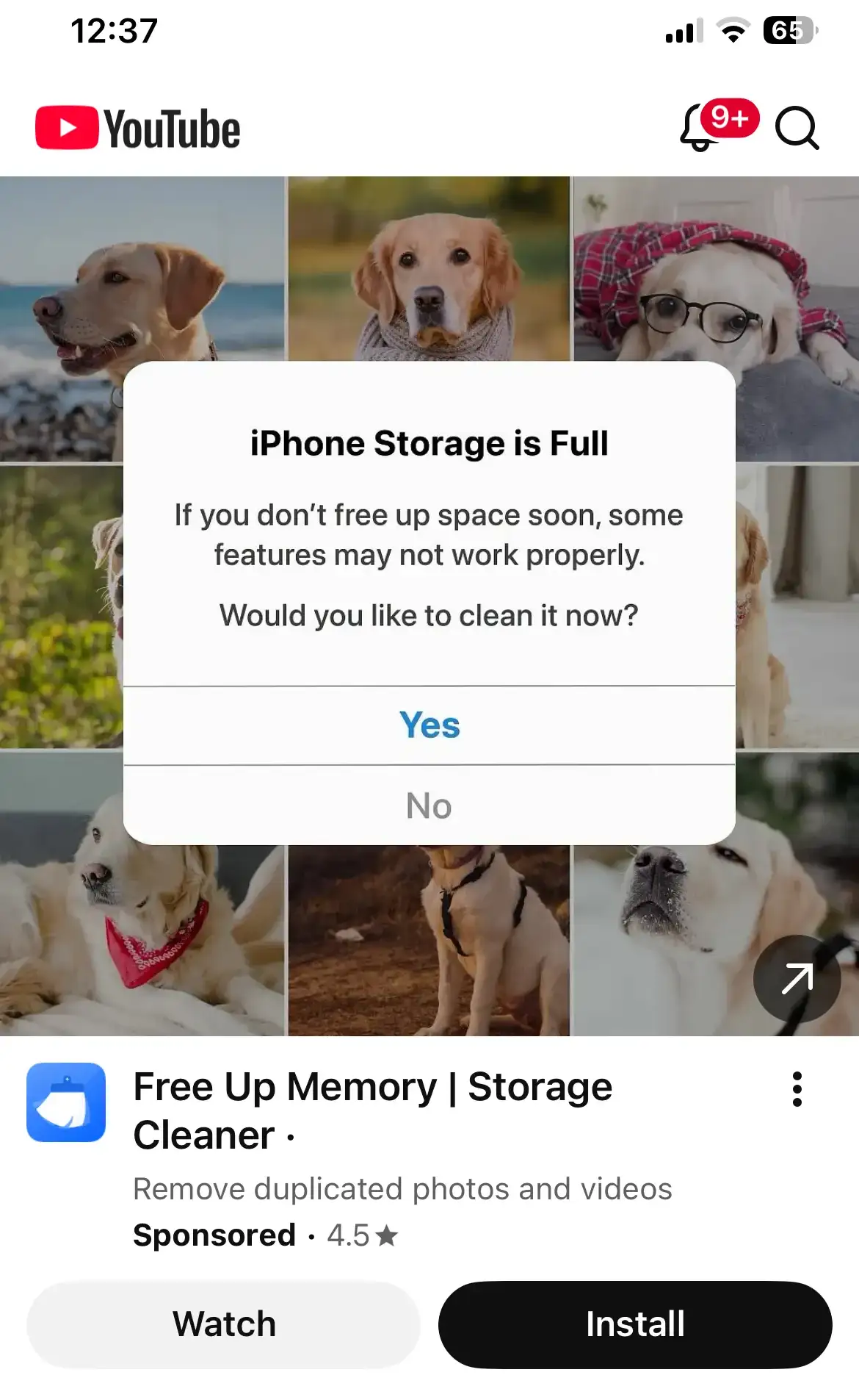 Vì sao Google vẫn để quảng cáo lừa đảo xuất hiện trên nền tảng của mình?