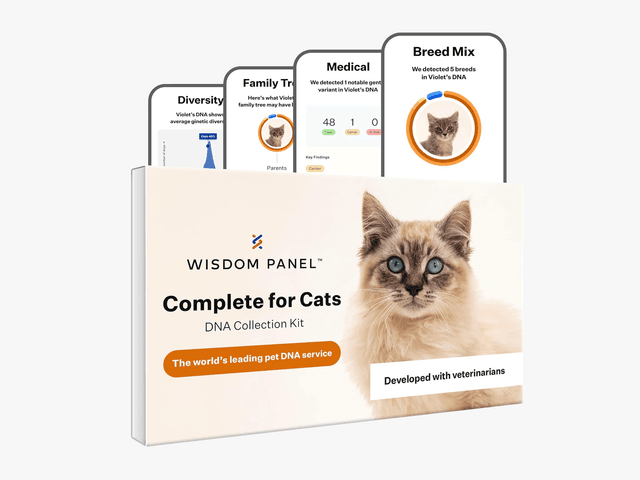 Bộ kit xét nghiệm ADN cho mèo Wisdom Panel
