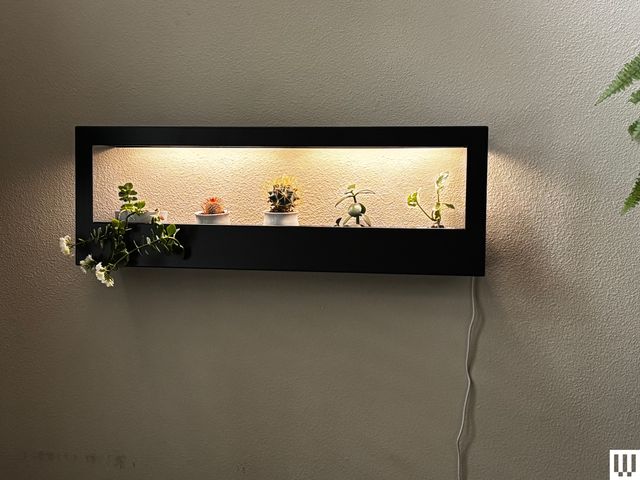 Kệ trồng cây thông minh Modern Sprout