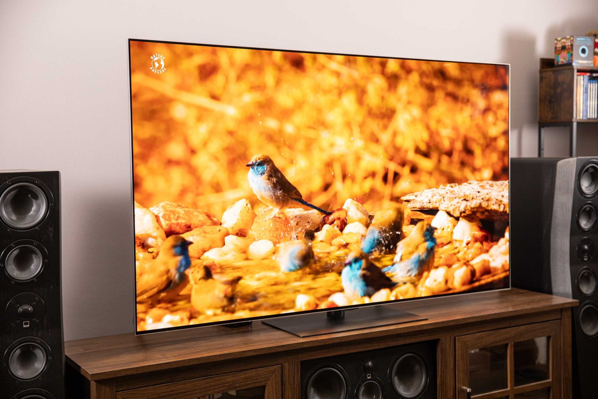 TV LG G5 OLED được sử dụng trong cuộc thử nghiệm của Gamers Nexus