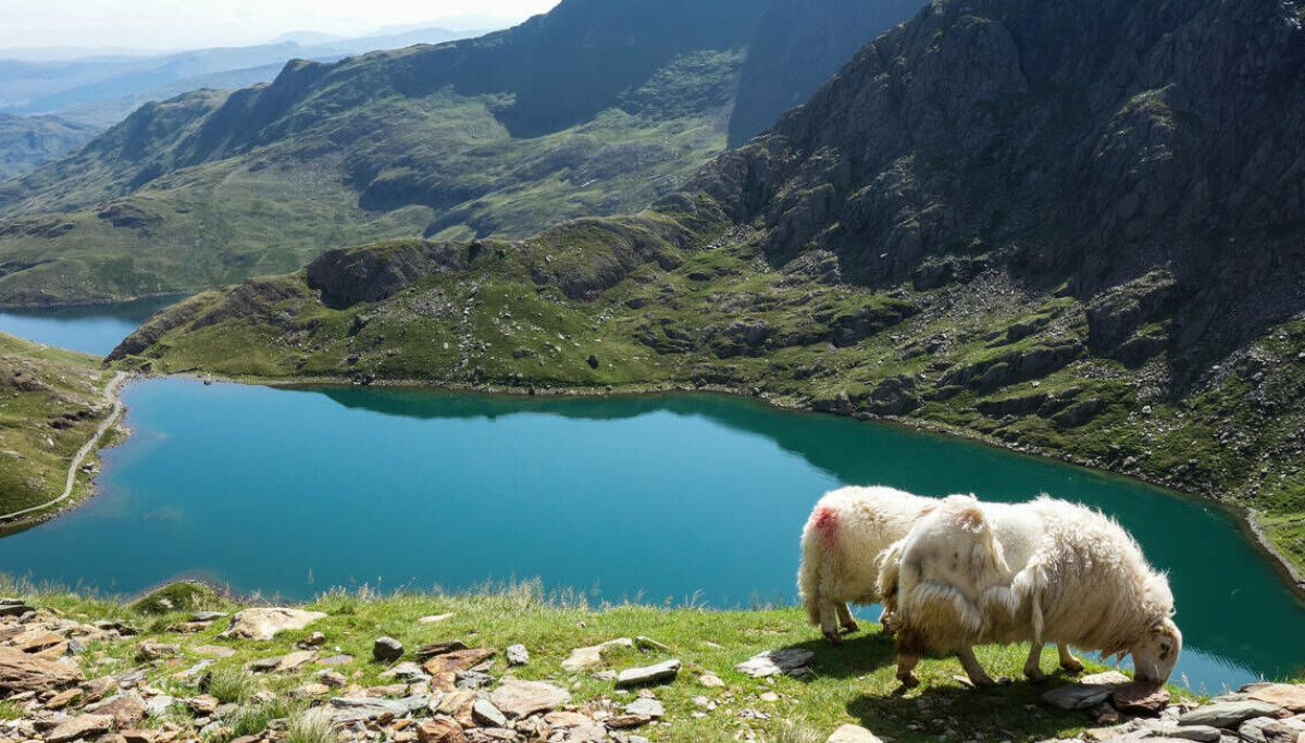 Sai sót trong phản hồi FoI khiến cơ quan môi trường xứ Wales lộ dữ liệu đa dạng của 2.000 nhân viên