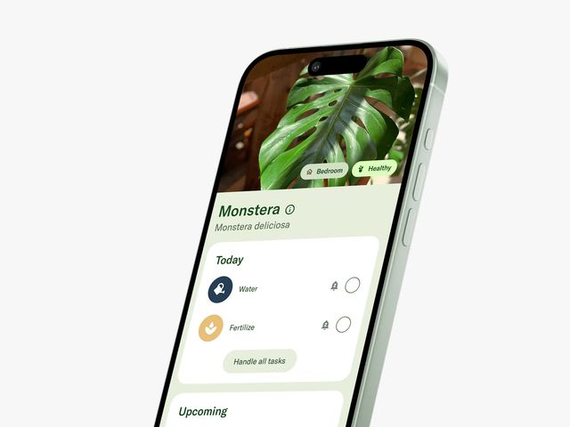 Ứng dụng Planta trên điện thoại