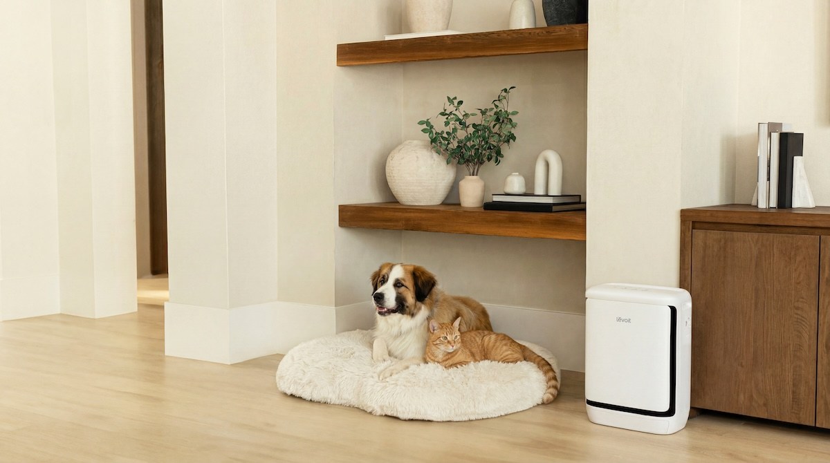 Levoit ra mắt máy lọc không khí chuyên trị mùi thú cưng cho căn hộ