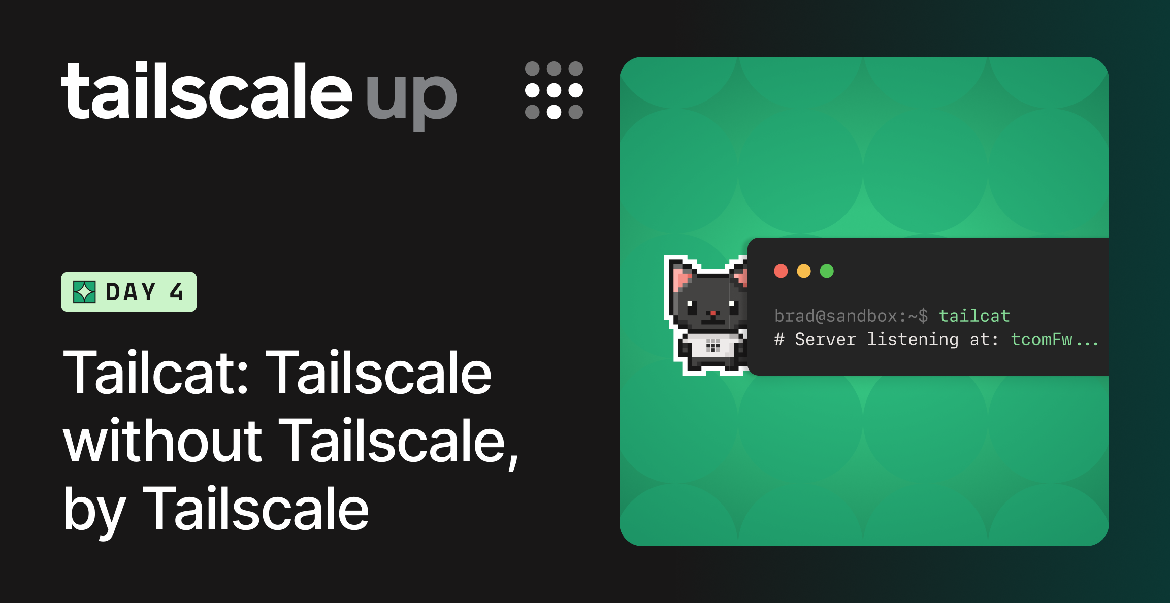 Tailcat: Tailscale không cần Tailscale, do chính Tailscale phát hành