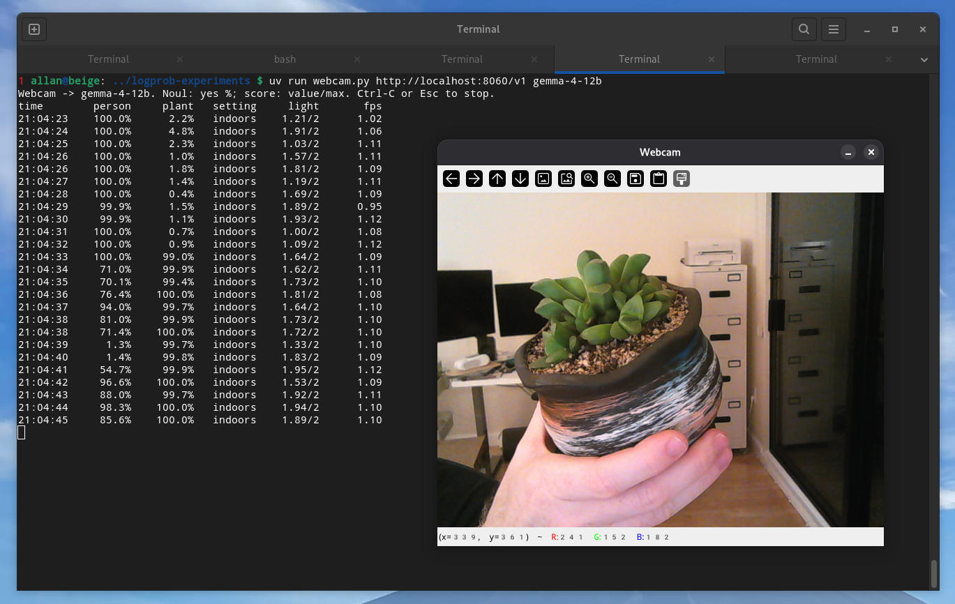 Bảng điều khiển webcam hiển thị kết quả phân loại theo thời gian thực