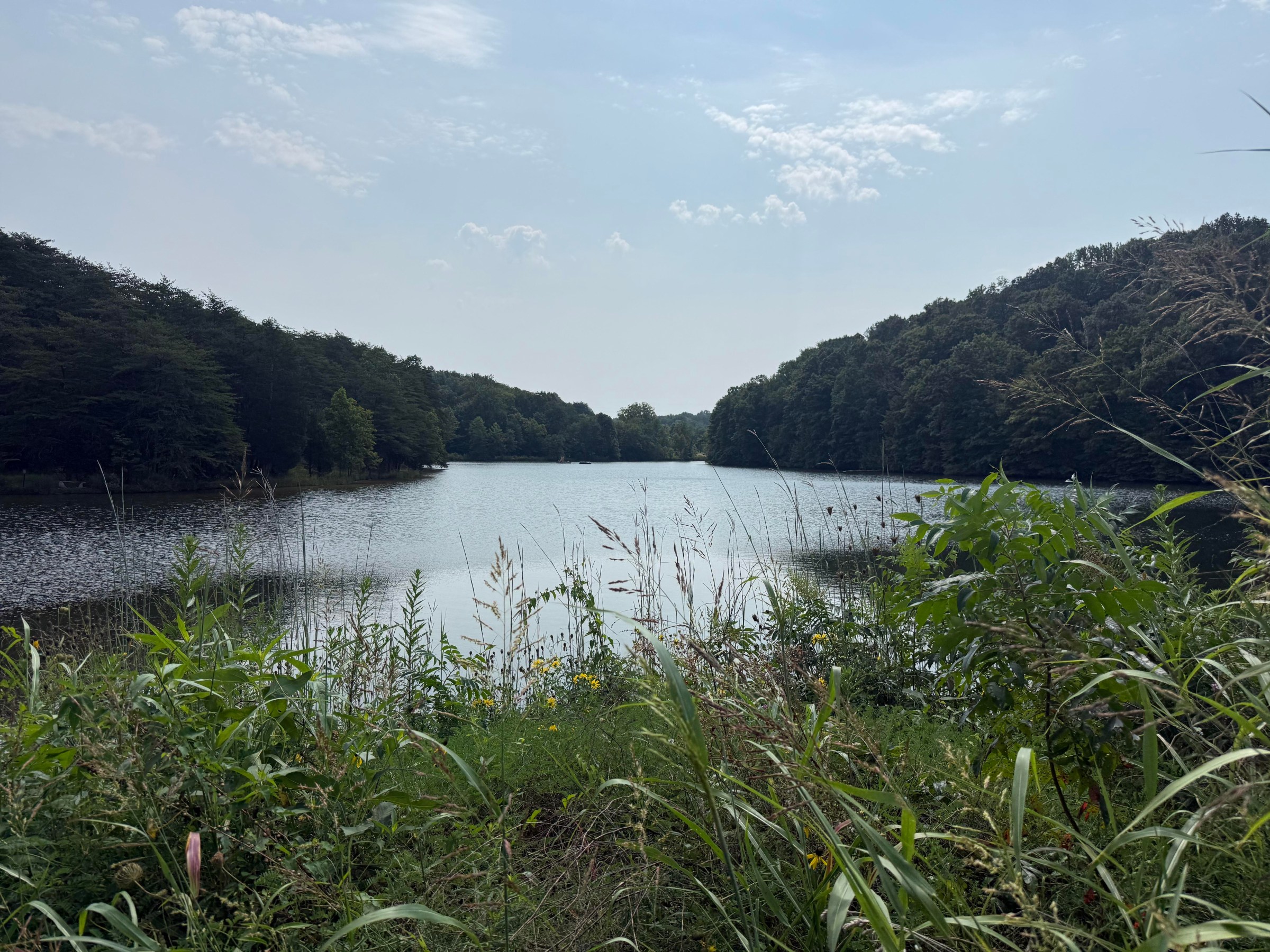 Dòng sông gần nhà Laura Lin tại Lanesville, Indiana