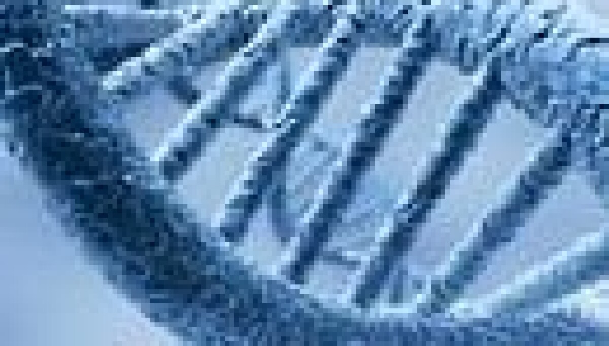 Google DeepMind vượt lên trong cuộc đua AI với bản đồ genome khổng lồ