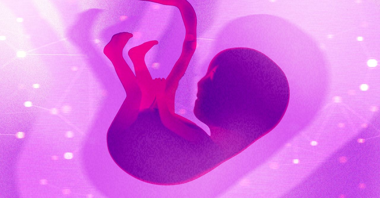 Chỉnh sửa gene phôi thai người: Đâu là giới hạn đạo đức?