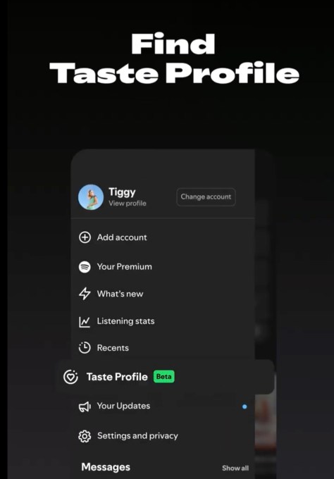 Giao diện Hồ sơ gu nhạc trên ứng dụng Spotify