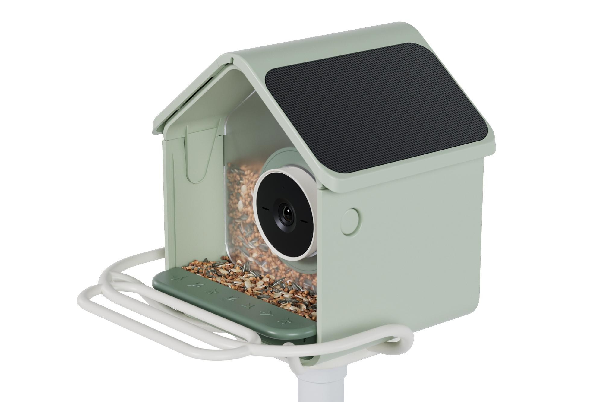 Birdbuddy Home với hai tấm pin mặt trời