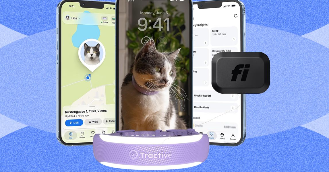 So sánh vòng cổ thông minh cho mèo năm 2026: Fi Mini và Tractive