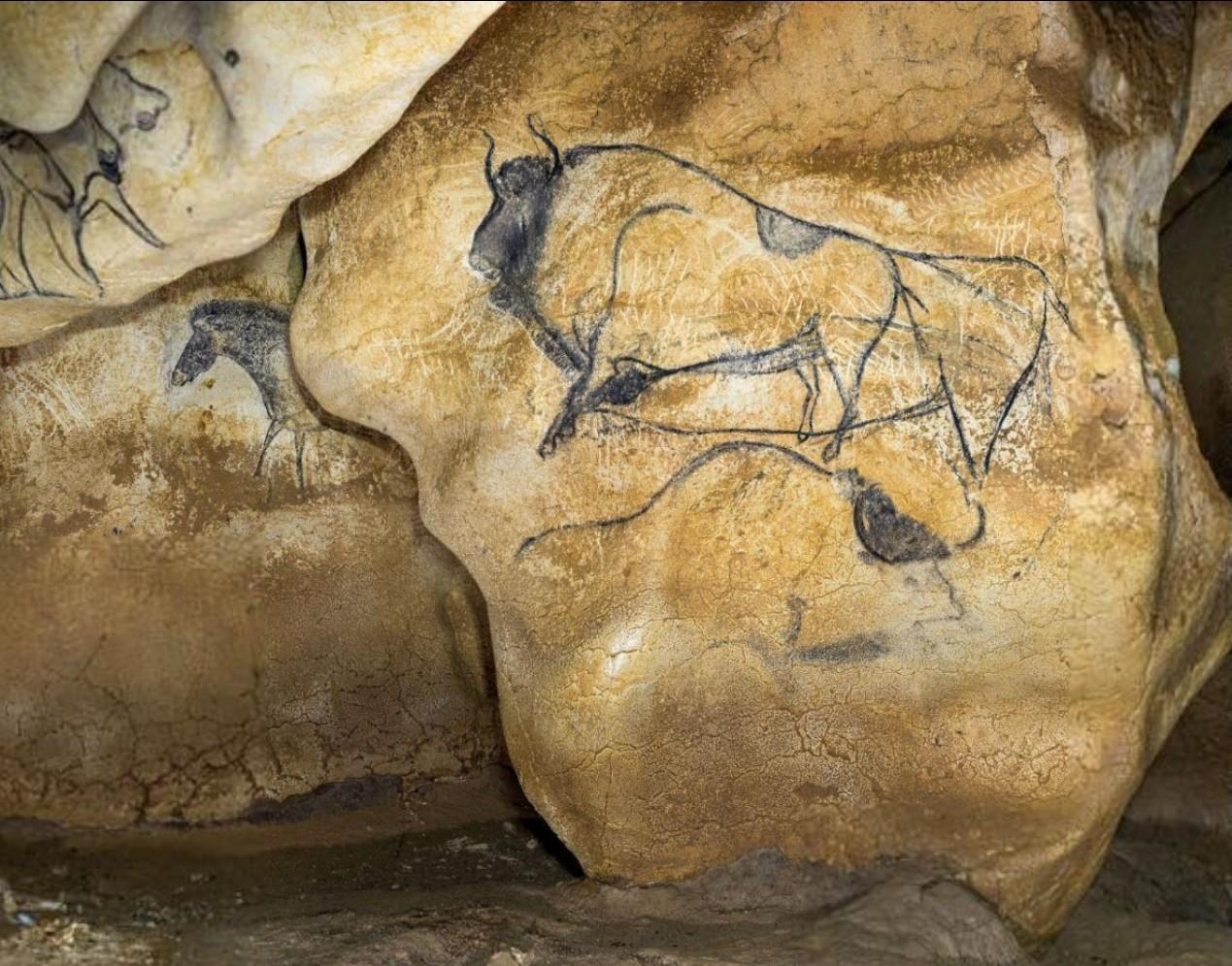 Tranh hang động Chauvet-Pont D'Arc