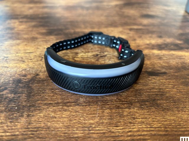 Tractive Cat 6 Mini
