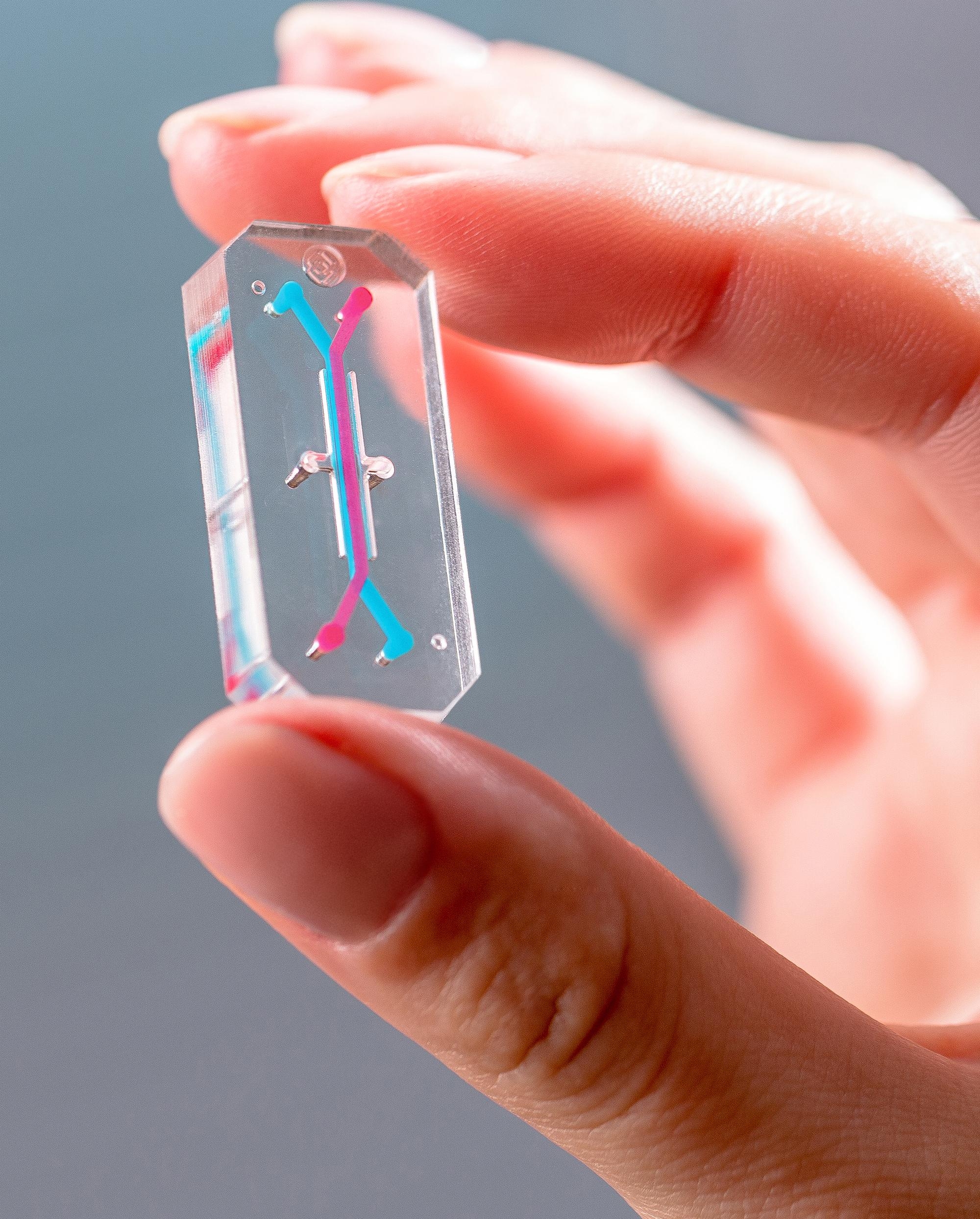 Một thiết bị chip sinh học trong suốt với các kênh vi lưu bên trong