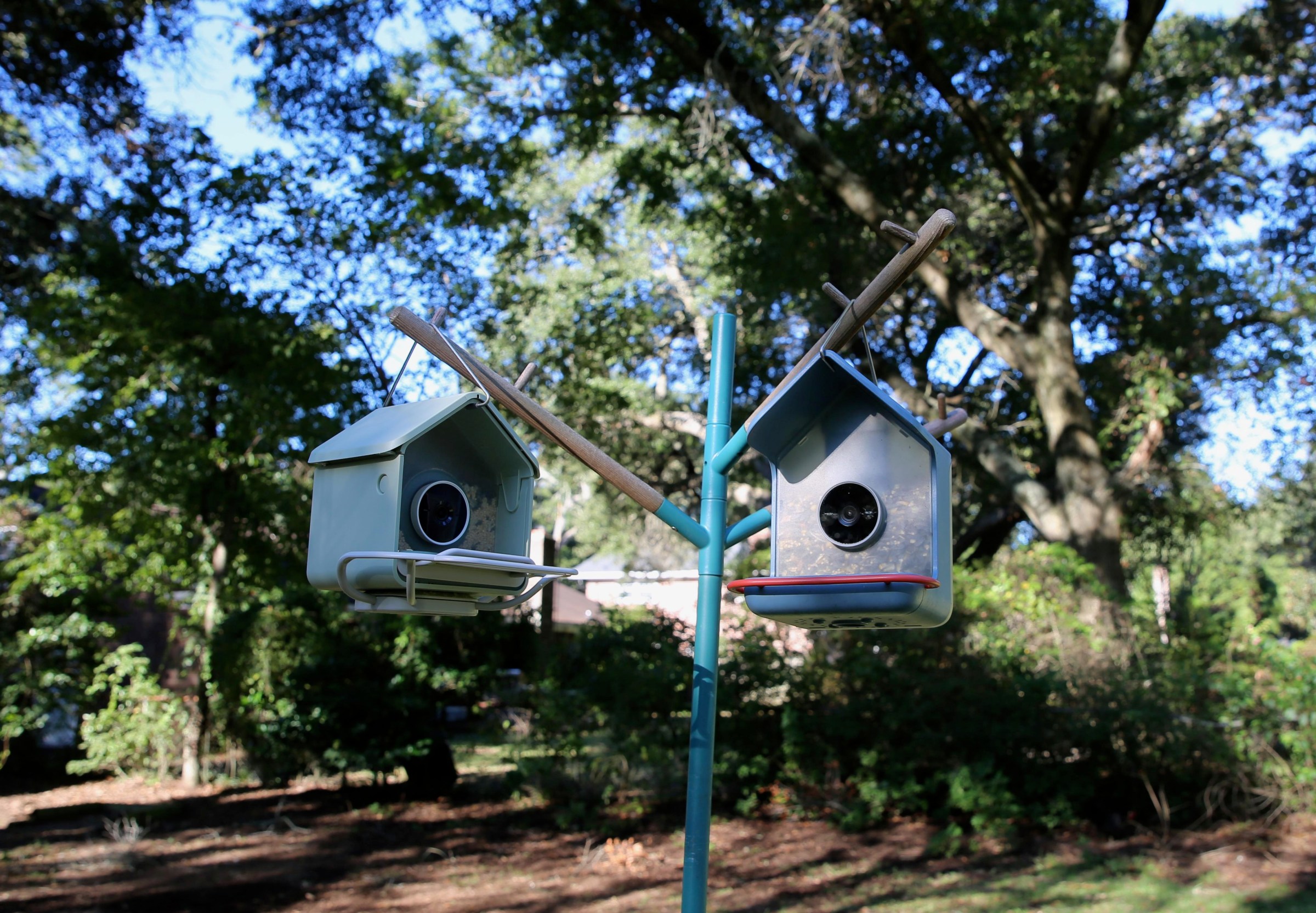 Cận cảnh camera và máng ăn của Birdbuddy