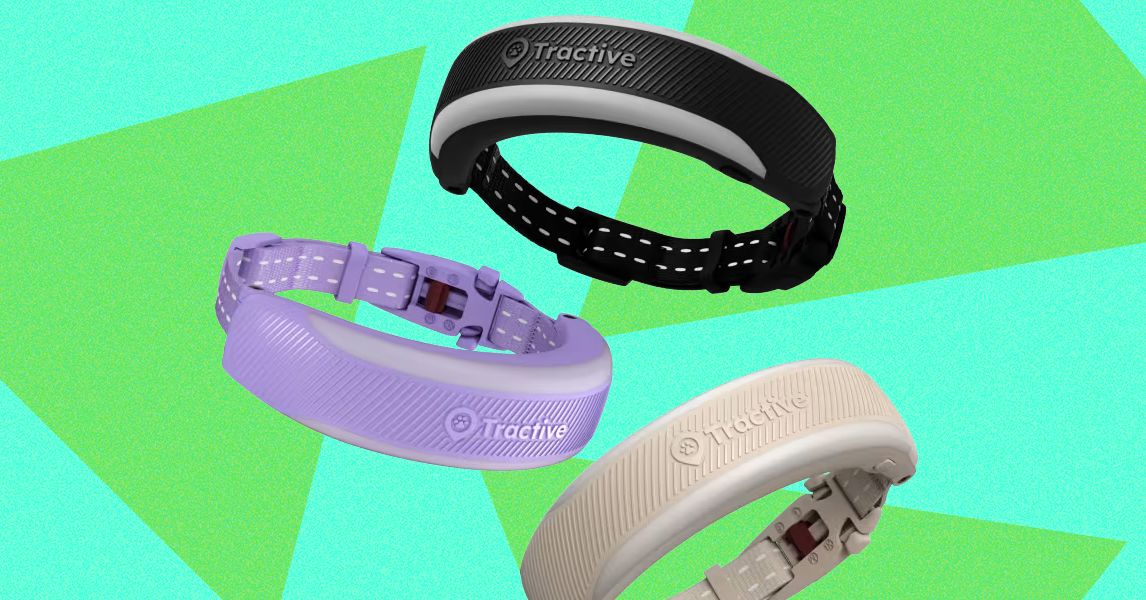 Đánh giá Tractive Cat 6 Mini: Chiếc vòng cổ thông minh theo dõi sức khỏe cho mèo