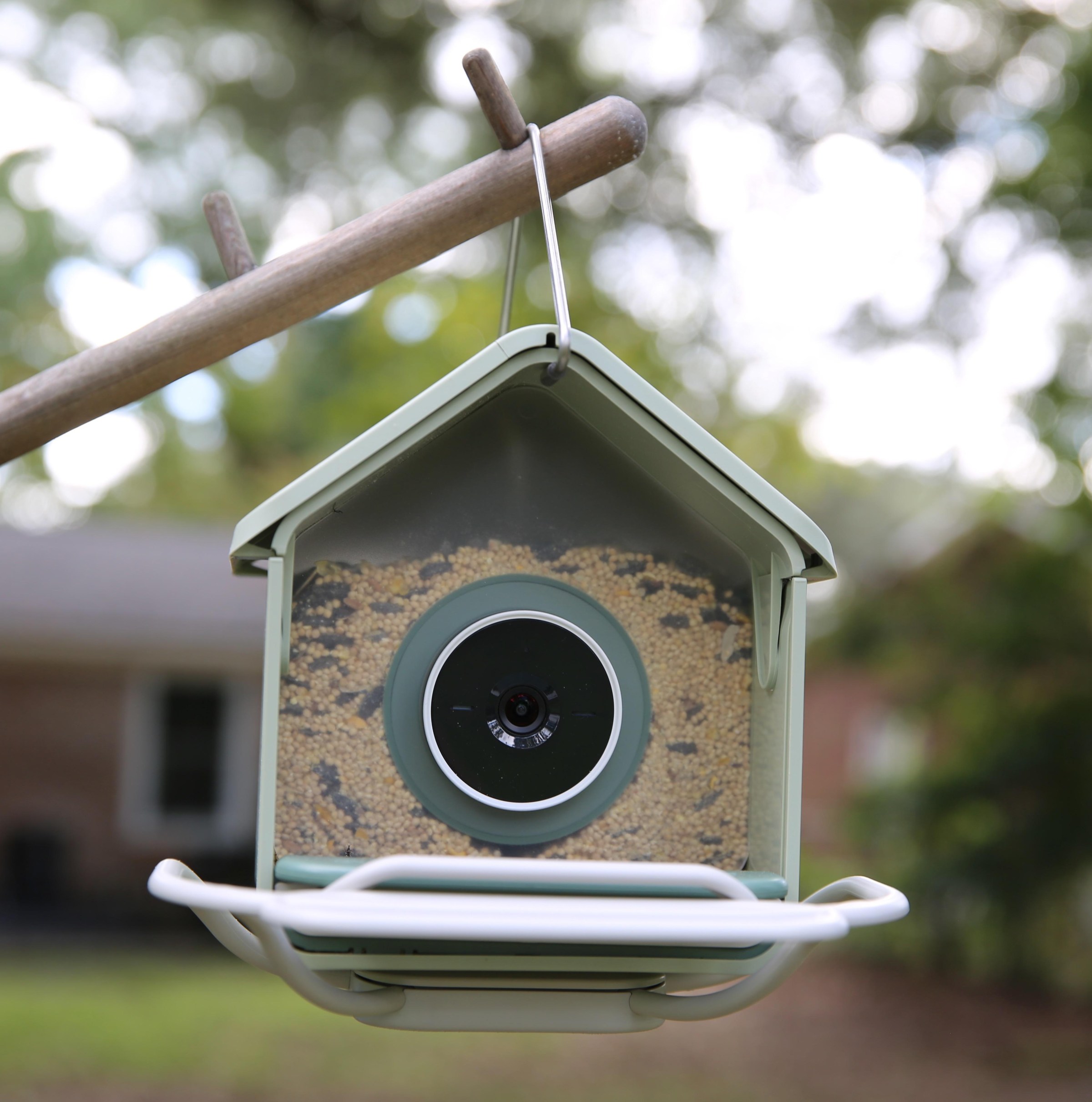 Máng ăn của Birdbuddy Home với khay hạt lớn hơn