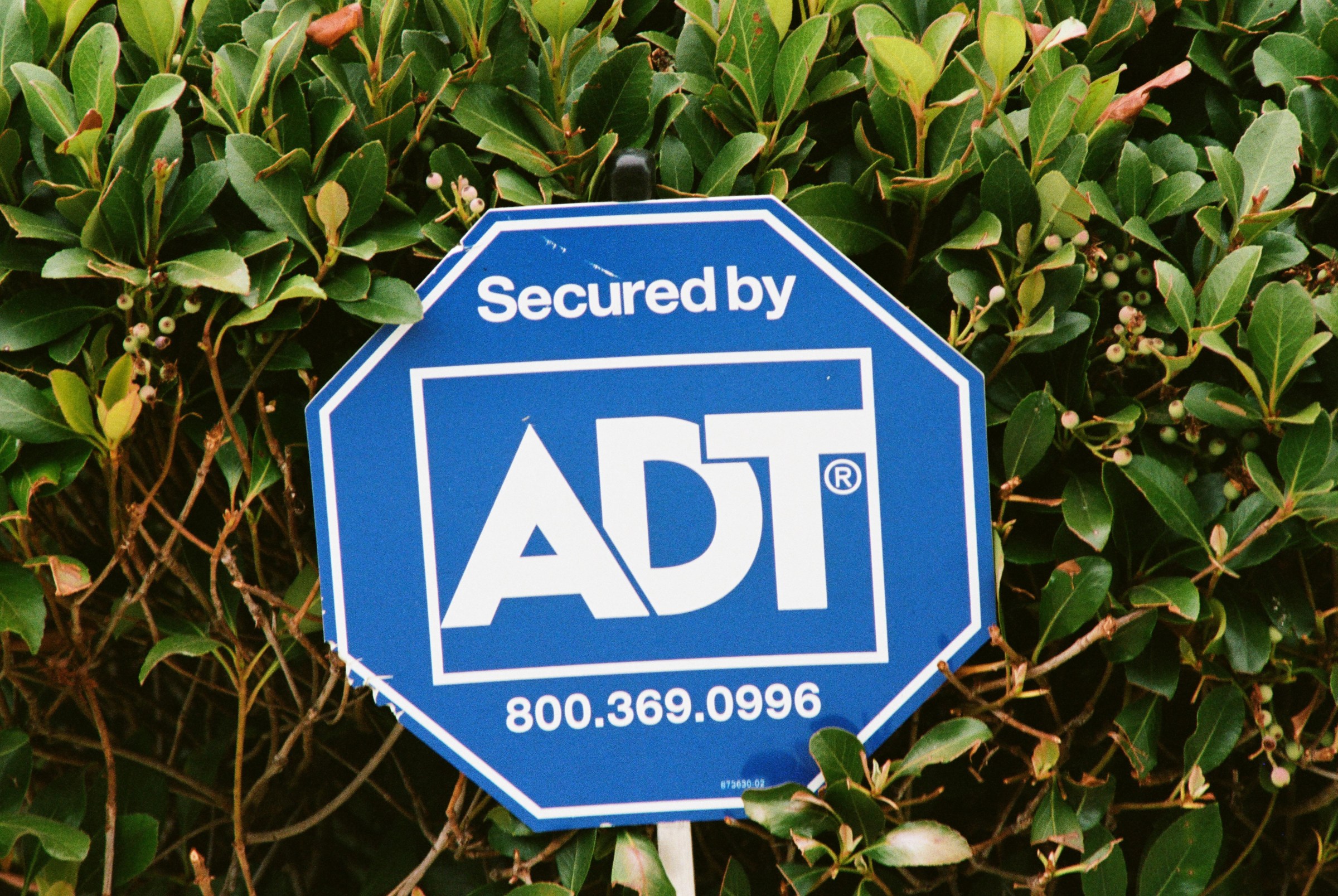 ADT là thương hiệu an ninh gia đình quen thuộc tại Mỹ