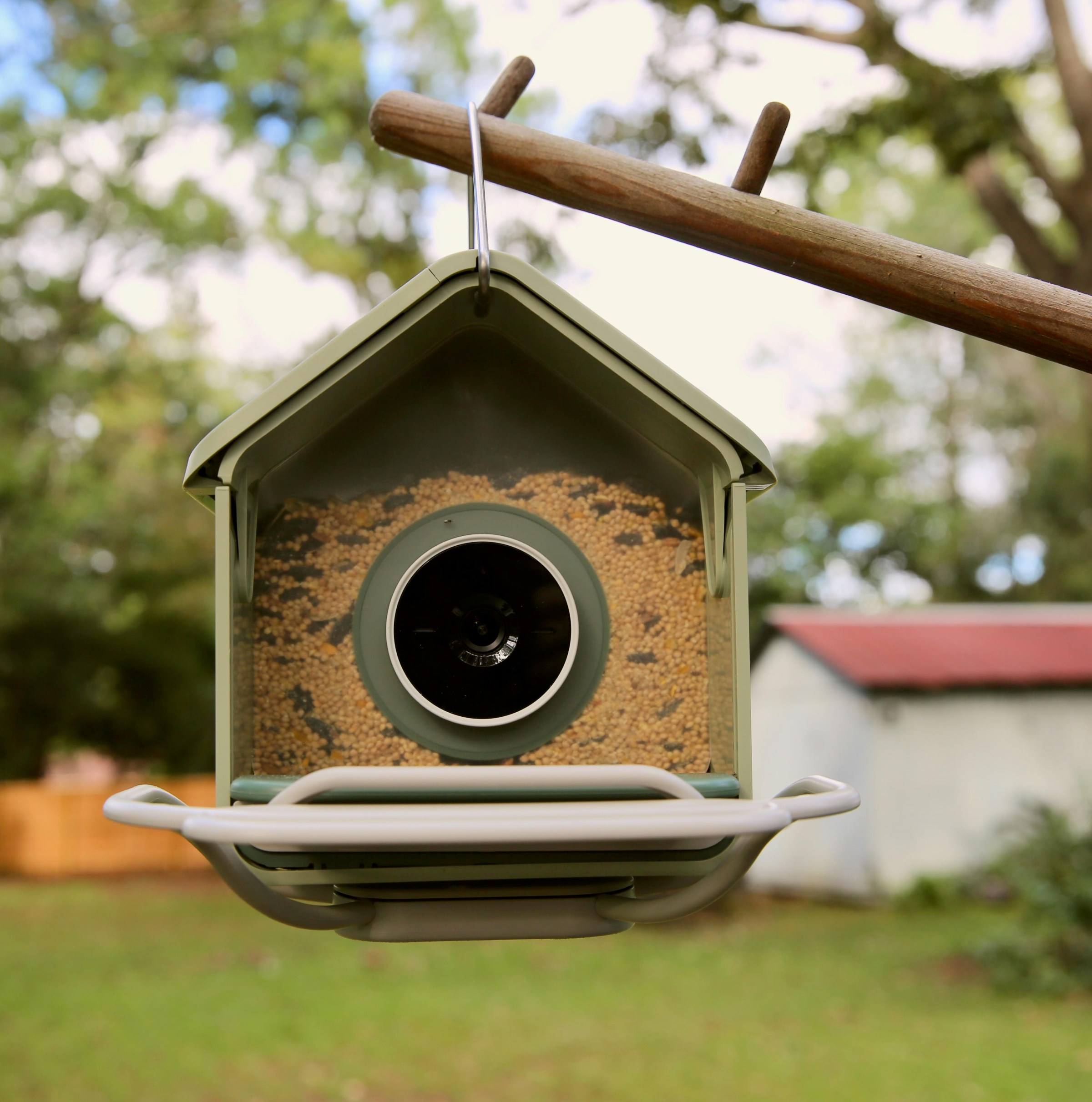 Máy cho chim ăn thông minh Birdbuddy Nook